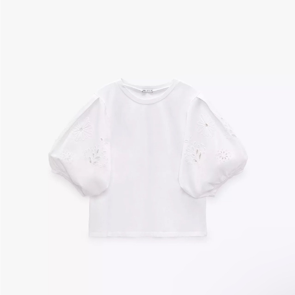 Zara Embroidered Balloon Sleeve Top